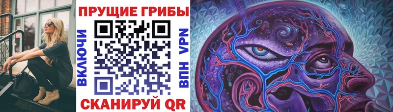 Галлюциногенные грибы Cubensis  Нижние Серги 